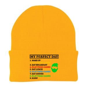 My Perfect Day Video Games Funny Gift Knit Cap Winter Beanie