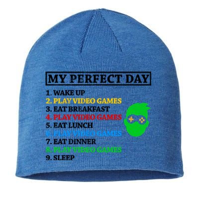 My Perfect Day Video Games Funny Gift Sustainable Beanie