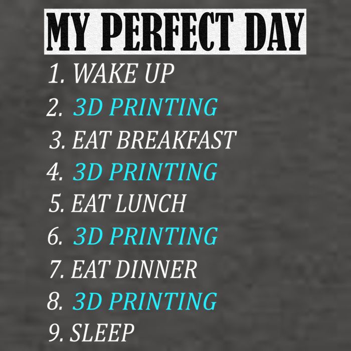 My Perfect Day 3 D Printing Printer Accessories Funny Gift Geek Gift Vector Backpack