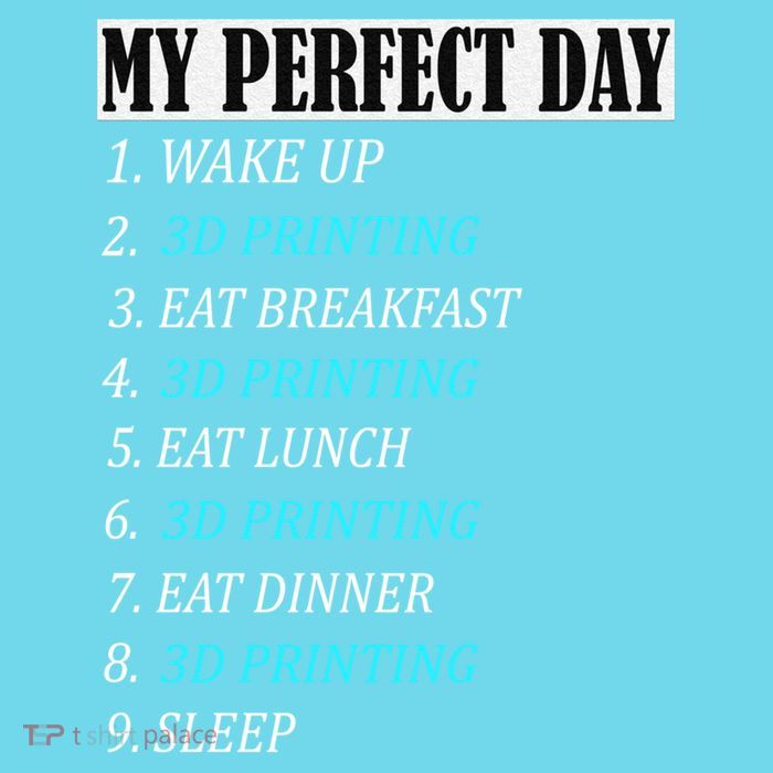 My Perfect Day 3 D Printing Printer Accessories Funny Gift Geek Gift Poster