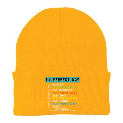 My Perfect Day Play Video Games Funny Gamer Knit Cap Winter Beanie