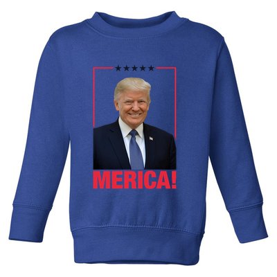 Merica! President Donald Trump Presidential Portrait Meme Cute Gift Toddler Sweatshirt