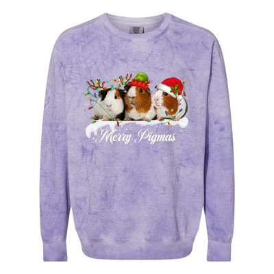 Merry Pigmas Funny Christmas Tree Xmas Light Guinea Pig Gift Colorblast Crewneck Sweatshirt