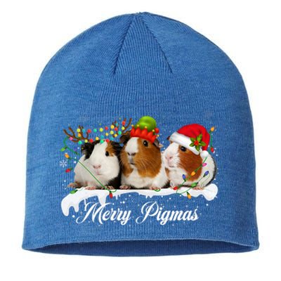 Merry Pigmas Funny Christmas Tree Xmas Light Guinea Pig Gift Sustainable Beanie