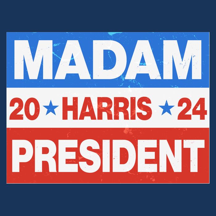 Madam President Harris Vote Kamala Harris 2024 Election Premium T-Shirt
