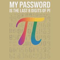 My Password Is The Last 8 Digits Of Pi Hoodie