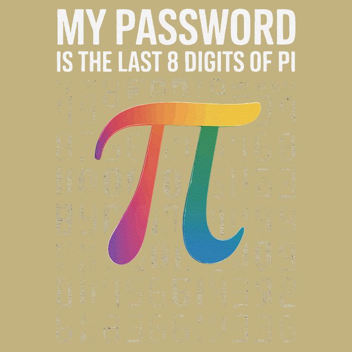 My Password Is The Last 8 Digits Of Pi Hoodie