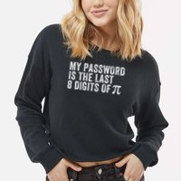 My Password Is The Last 8 Digits of Pi Funny Math Geek Cropped Pullover Crew