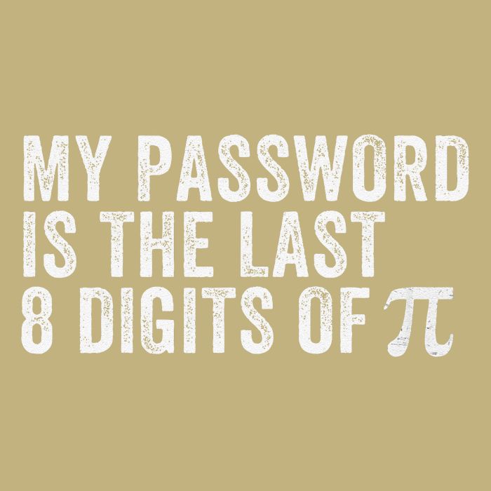 My Password Is The Last 8 Digits of Pi Funny Math Geek Hoodie