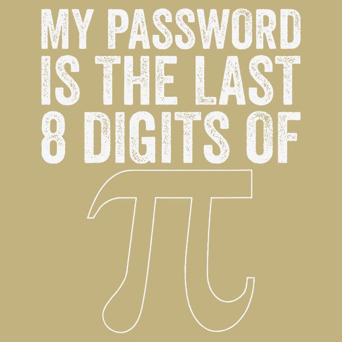 My Password Is The Last 8 Digits of Pi Funny Math Geek Hoodie