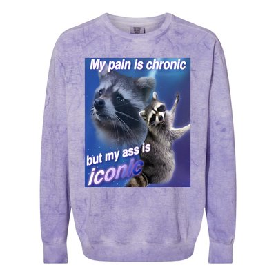 My Pain Is Chronic But My Ass Is Iconic Funny Raccoon Meme Colorblast Crewneck Sweatshirt