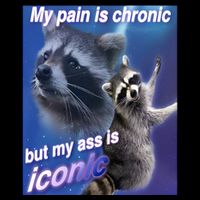 My Pain Is Chronic But My Ass Is Iconic Funny Raccoon Meme 7-Panel Snapback Hat