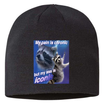My Pain Is Chronic But My Ass Is Iconic Funny Raccoon Meme Sustainable Beanie