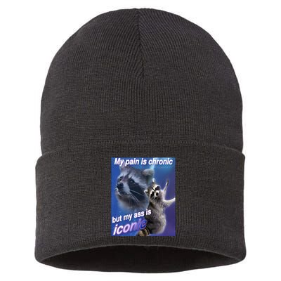 My Pain Is Chronic But My Ass Is Iconic Funny Raccoon Meme Sustainable Knit Beanie