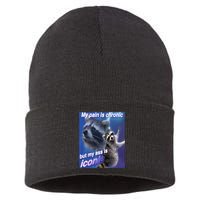 My Pain Is Chronic But My Ass Is Iconic Funny Raccoon Meme Sustainable Knit Beanie