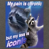 My Pain Is Chronic But My Ass Is Iconic Funny Raccoon Meme Cotton Canvas Backpack