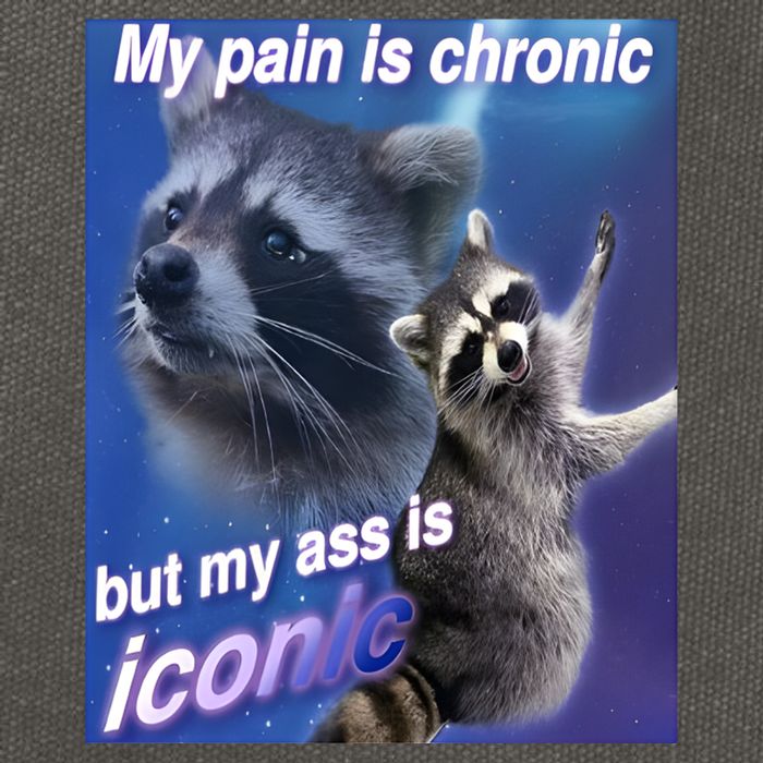 My Pain Is Chronic But My Ass Is Iconic Funny Raccoon Meme Cotton Canvas Backpack