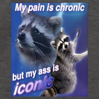 My Pain Is Chronic But My Ass Is Iconic Funny Raccoon Meme Vector Backpack