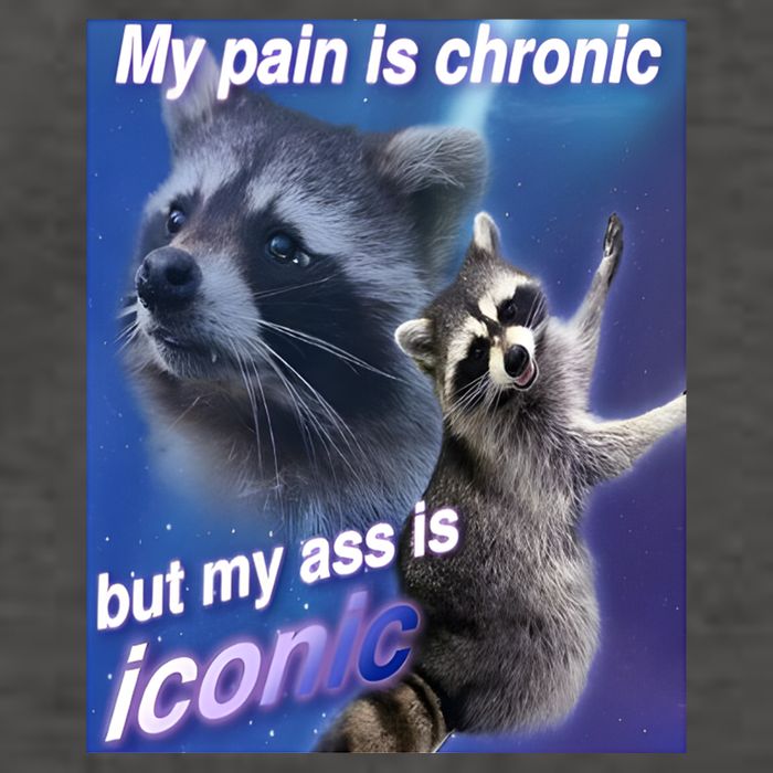 My Pain Is Chronic But My Ass Is Iconic Funny Raccoon Meme Vector Backpack