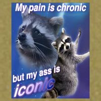 My Pain Is Chronic But My Ass Is Iconic Funny Raccoon Meme Garment-Dyed Women's Muscle Tee