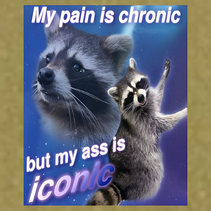 My Pain Is Chronic But My Ass Is Iconic Funny Raccoon Meme Garment-Dyed Women's Muscle Tee