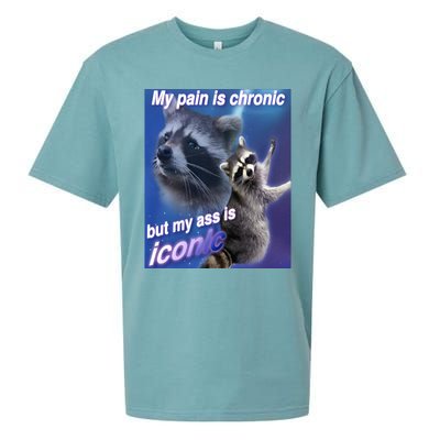 My Pain Is Chronic But My Ass Is Iconic Funny Raccoon Meme Sueded Cloud Jersey T-Shirt