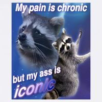 My Pain Is Chronic But My Ass Is Iconic Funny Raccoon Meme Cool Comfort Performance Bucket Hat