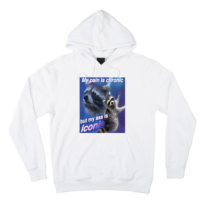 My Pain Is Chronic But My Ass Is Iconic Funny Raccoon Meme Hoodie