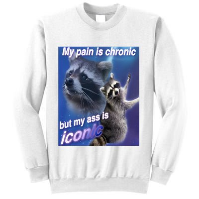 My Pain Is Chronic But My Ass Is Iconic Funny Raccoon Meme Sweatshirt