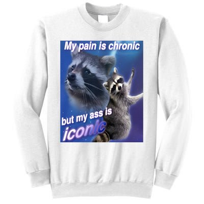 My Pain Is Chronic But My Ass Is Iconic Funny Raccoon Meme Sweatshirt