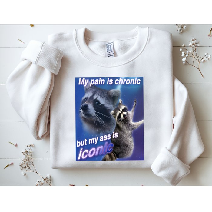 My Pain Is Chronic But My Ass Is Iconic Funny Raccoon Meme Sweatshirt