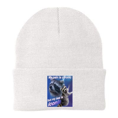 My Pain Is Chronic But My Ass Is Iconic Funny Raccoon Meme Beanie