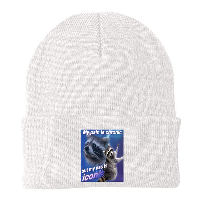 My Pain Is Chronic But My Ass Is Iconic Funny Raccoon Meme Beanie