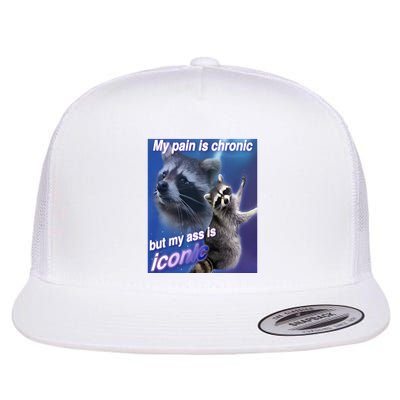 My Pain Is Chronic But My Ass Is Iconic Funny Raccoon Meme Flatbill Hat