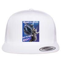 My Pain Is Chronic But My Ass Is Iconic Funny Raccoon Meme Flatbill Hat