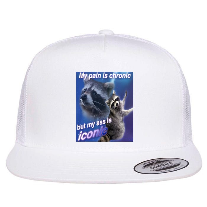 My Pain Is Chronic But My Ass Is Iconic Funny Raccoon Meme Flatbill Hat