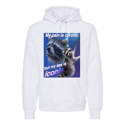 My Pain Is Chronic But My Ass Is Iconic Funny Raccoon Meme Premium Hoodie