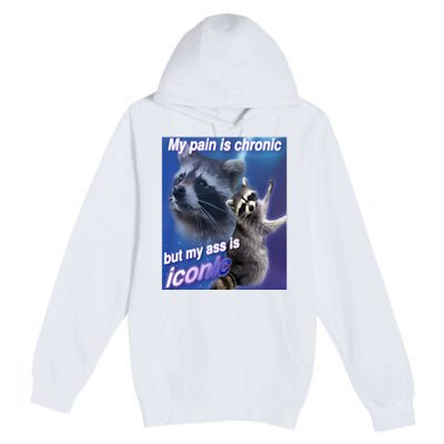 My Pain Is Chronic But My Ass Is Iconic Funny Raccoon Meme Premium Pullover Hoodie