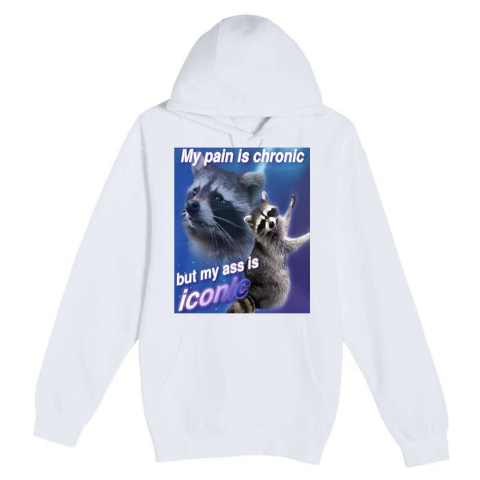 My Pain Is Chronic But My Ass Is Iconic Funny Raccoon Meme Premium Pullover Hoodie