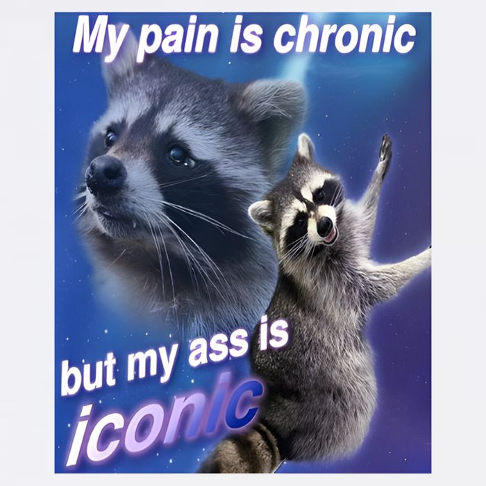 My Pain Is Chronic But My Ass Is Iconic Funny Raccoon Meme Cooling Performance Long Sleeve Crew