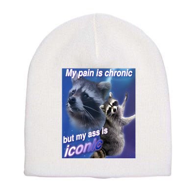 My Pain Is Chronic But My Ass Is Iconic Funny Raccoon Meme Short Acrylic Beanie