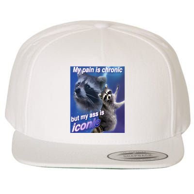 My Pain Is Chronic But My Ass Is Iconic Funny Raccoon Meme Wool Snapback Cap