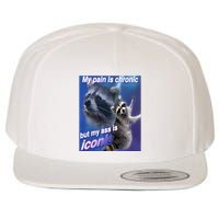 My Pain Is Chronic But My Ass Is Iconic Funny Raccoon Meme Wool Snapback Cap