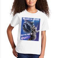My Pain Is Chronic But My Ass Is Iconic Funny Raccoon Meme Kids T-Shirt