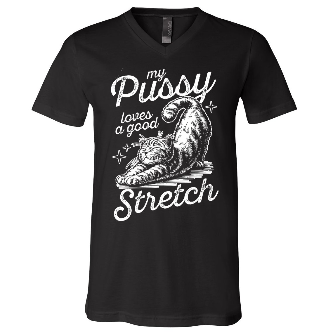 My Pussy Loves A Good Stretch Cat V-Neck T-Shirt