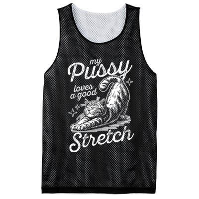My Pussy Loves A Good Stretch Cat Mesh Reversible Basketball Jersey Tank