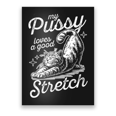 My Pussy Loves A Good Stretch Cat Poster