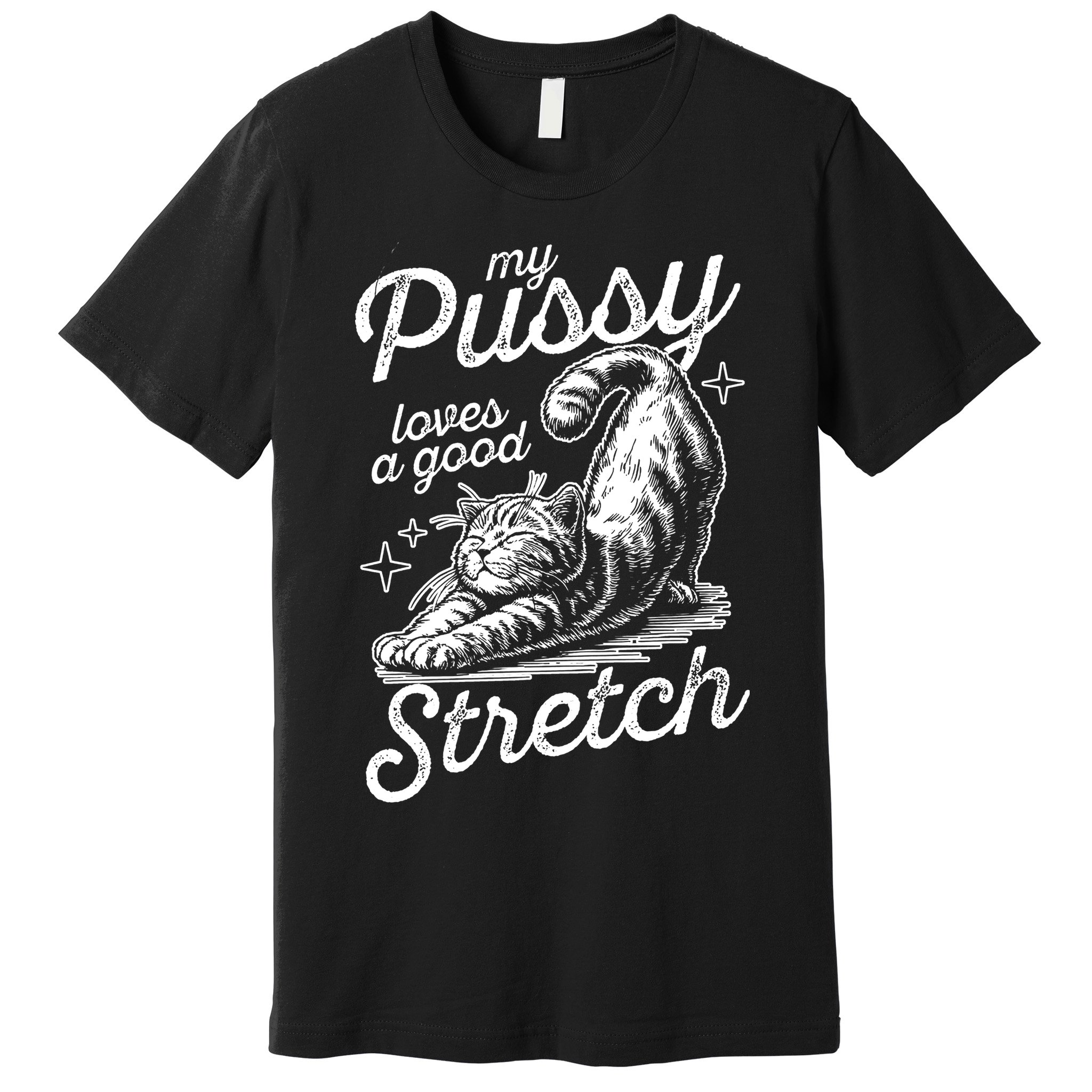My Pussy Loves A Good Stretch Cat Premium T-Shirt
