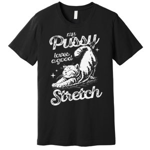 My Pussy Love A Good Stretch Funny Raunchy Cat Funny Meme Premium T-Shirt