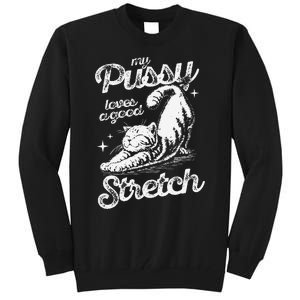 My Pussy Love A Good Stretch Funny Raunchy Cat Funny Meme Tall Sweatshirt